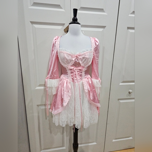 Dolls Kill Exclusive French Cake Queen Marie Antoinette Pink Lace Mini Dress S - Picture 2 of 11